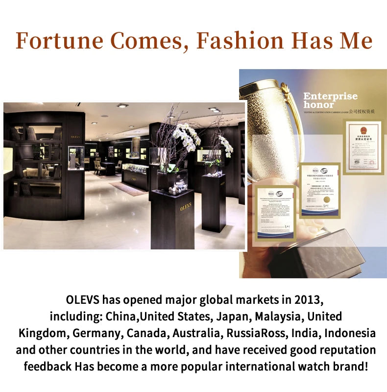 OLEVS 2897 Watches for Women Original Ladies Watch Waterproof Chronograph Sports Business Elegant Women's Quartz Wristwatches